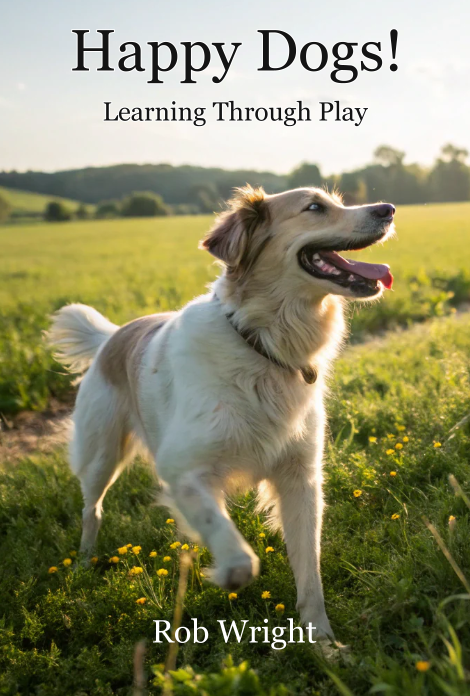 Happy Dogs! Learning Through Play
