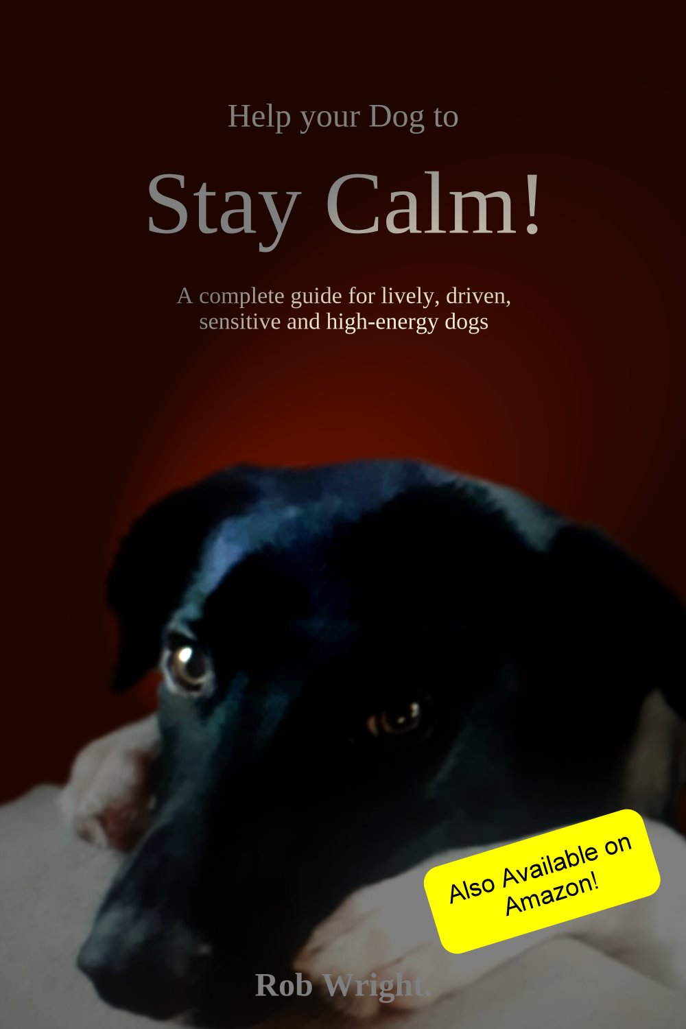 Helping Your Dog To Stay Calm
